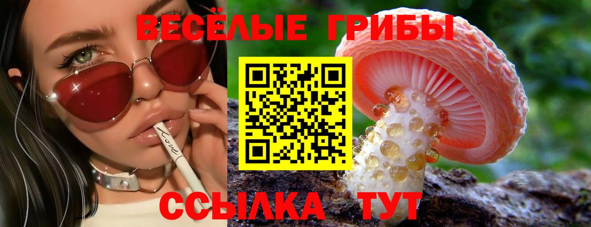 Галлюциногенные грибы прущие грибы Богородск